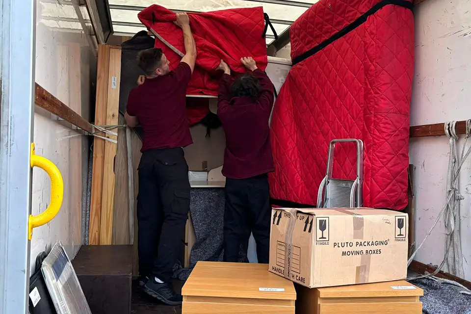 Domestic Removals